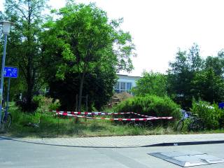 Grabungsfl&auml;che