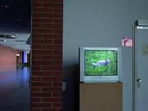 Sitzgruppe, Fernseher mit "Campus"
