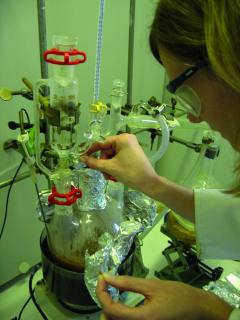 Laborantin destiliert Holzsp�ne