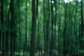Photographie
