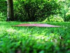 Linea continua procedens I