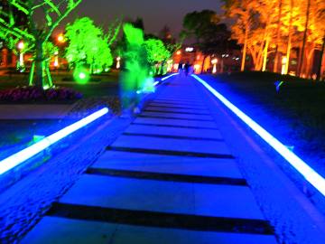 Night Light