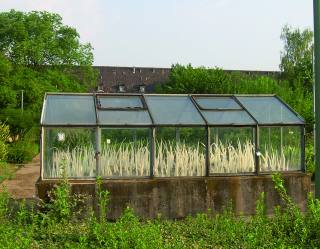 Gew&auml;chshaus